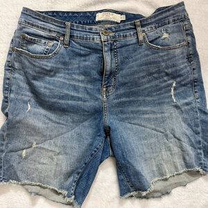 Torrid Light Blue Distressed Denim Cutoff Shorts - Size 16